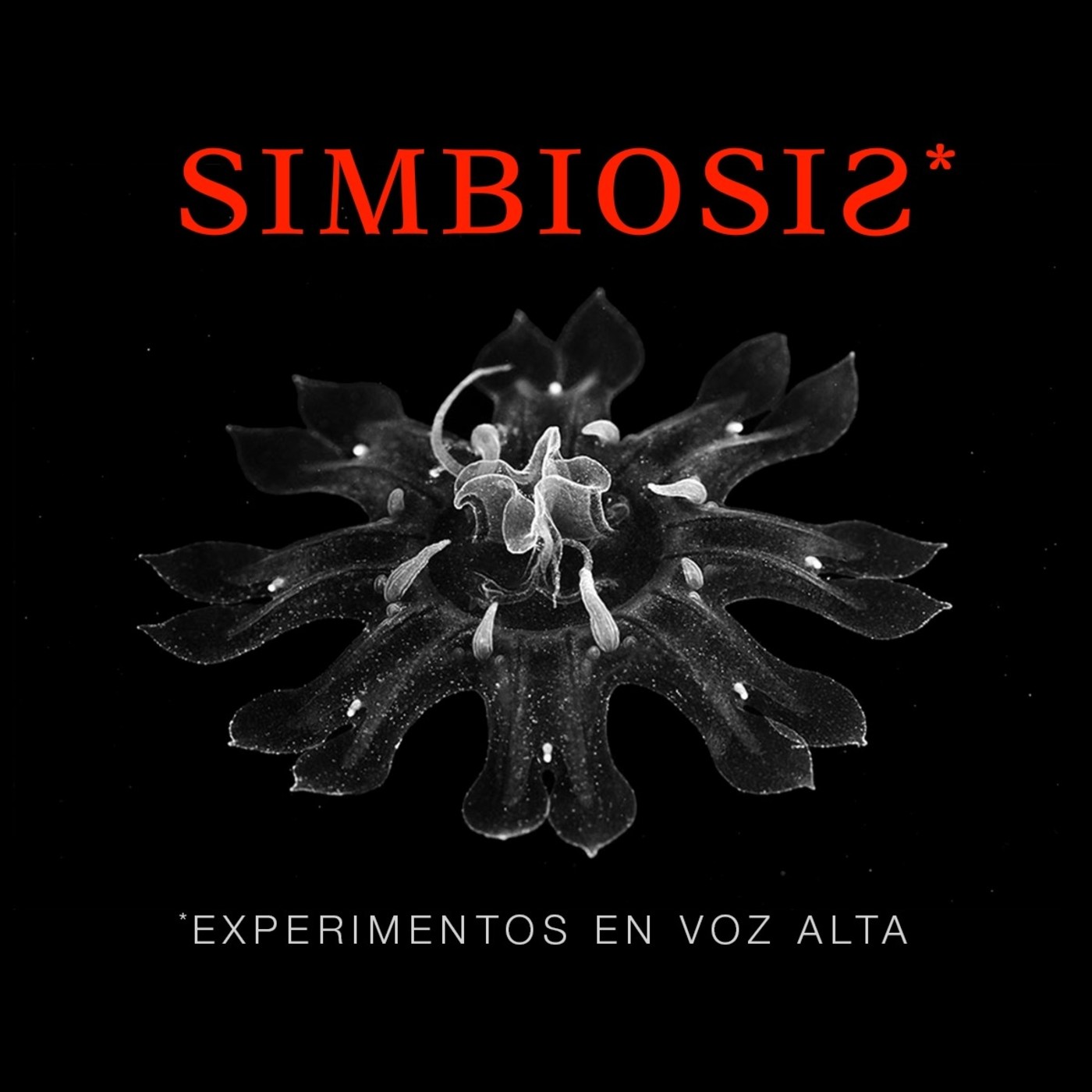 Radio Eterogenia