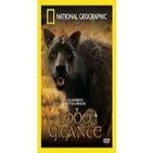 Depredadores Prehistoricos (7de7): El lobo gigante