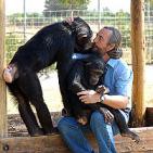 El centro de rescate de primates Rainfer, en riesgo de desaparecer