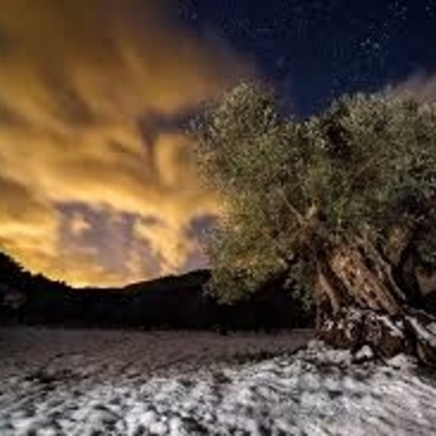 Poemas clásicos Siglos X al XX