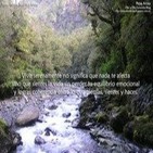 Visualización creativa: Lanzando al río los pensamientos nocivos