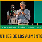 Energías sutiles en los alimentos - Dr. Karmelo Bizcarra - 9a FERIA ALIMENTACIÓN Y SALUD