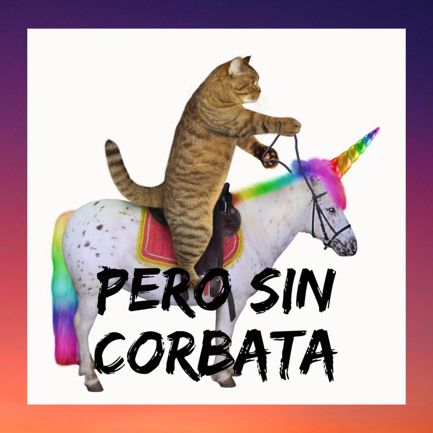 PeroSinCorbata