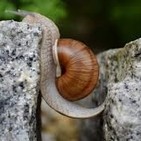 Programa 192. ¡Sí a la Vida! a pesar de todo. Resiliencia no es lo mismo que Fortaleza