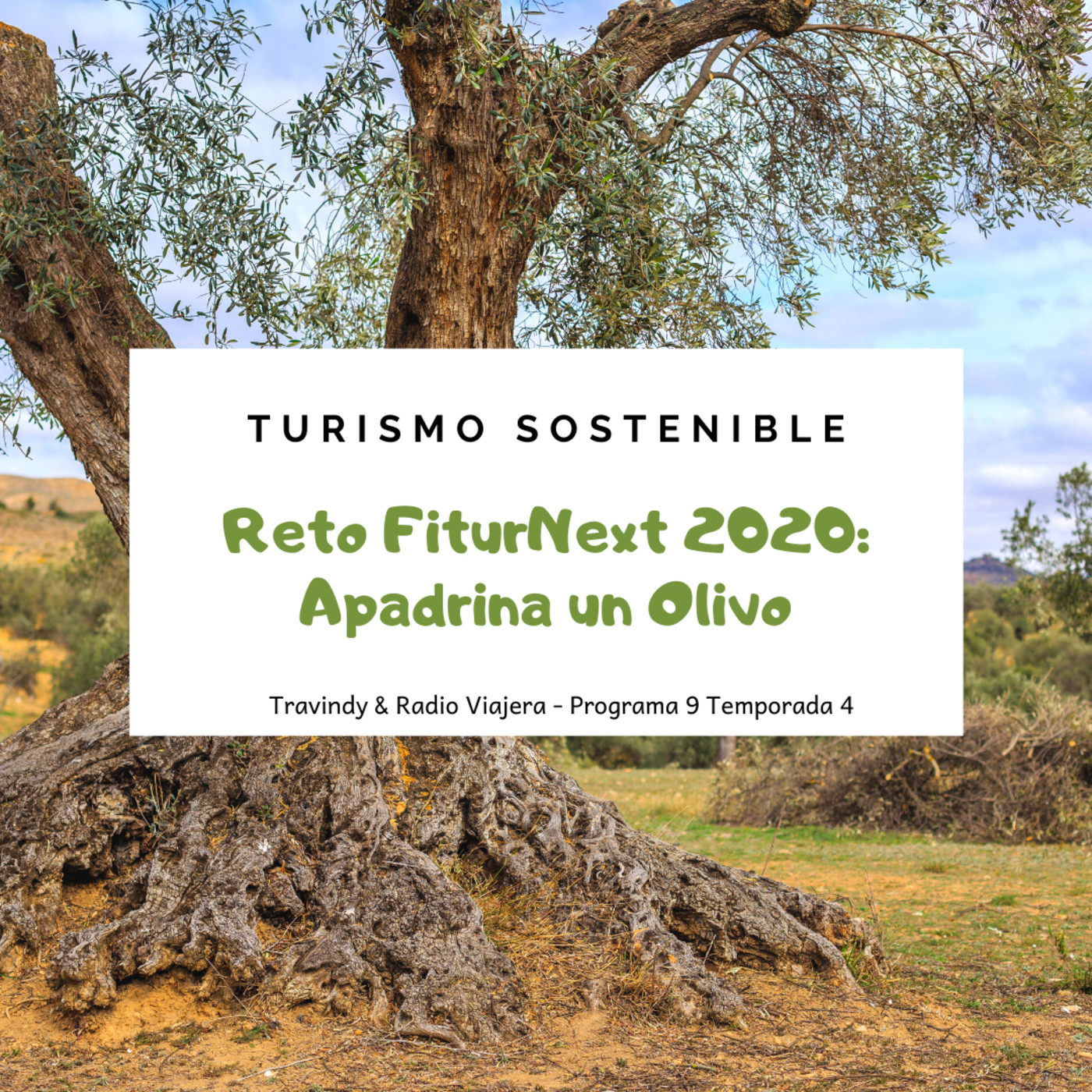 TURISMO SOSTENIBLE