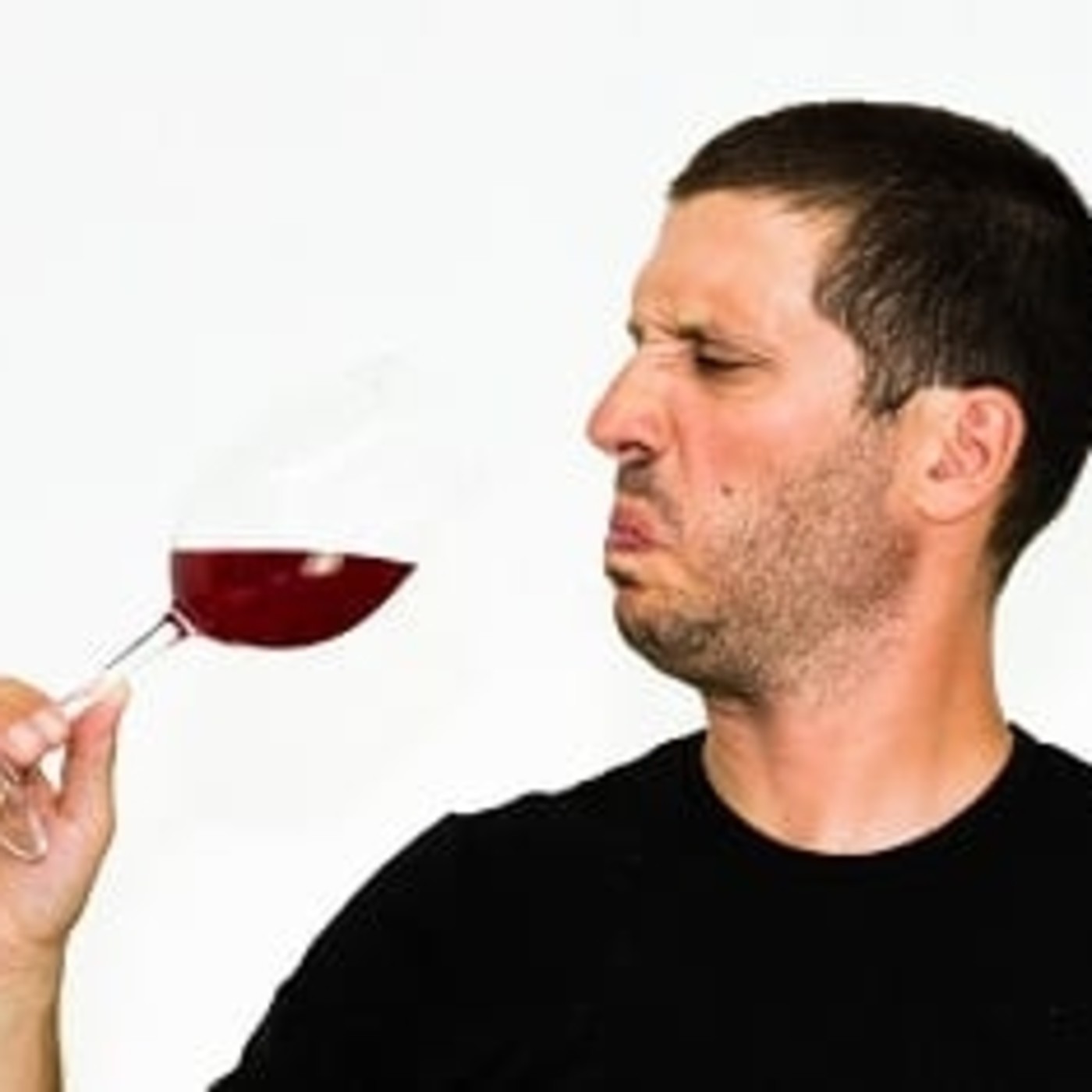 VINO PARA CAMALEONES
