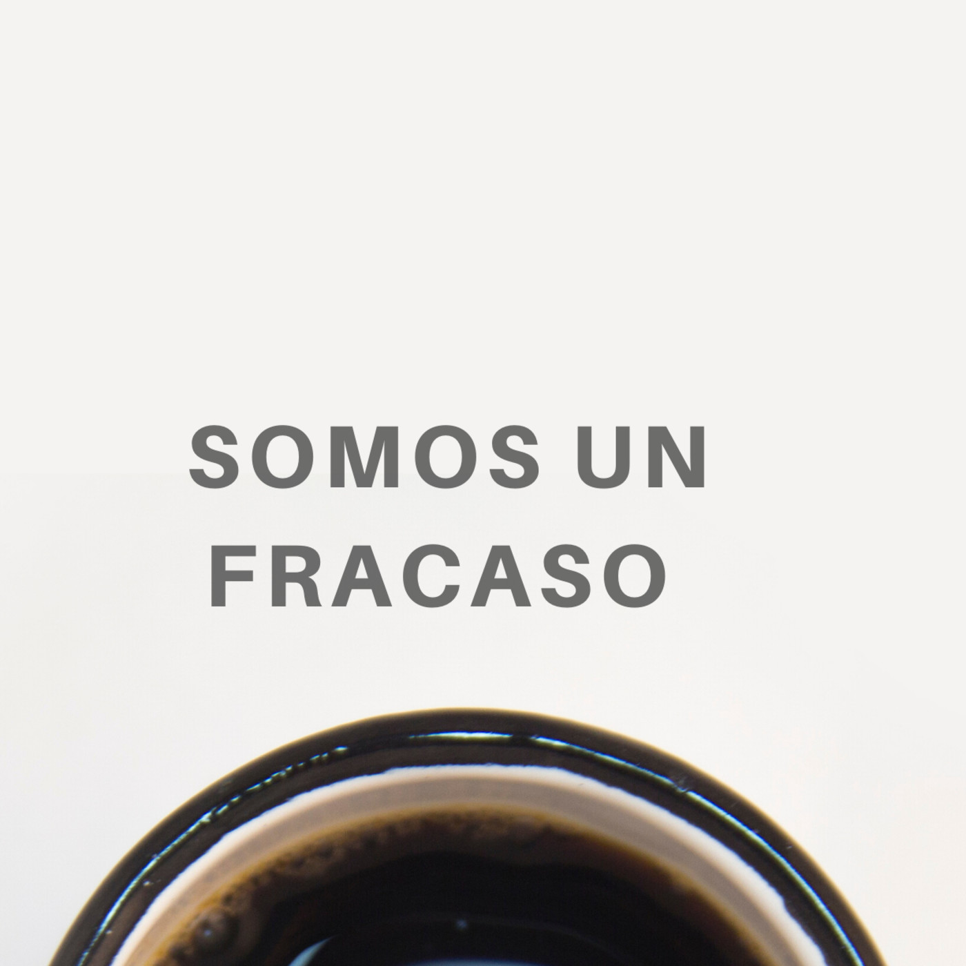 24 -Somos Un Fracaso