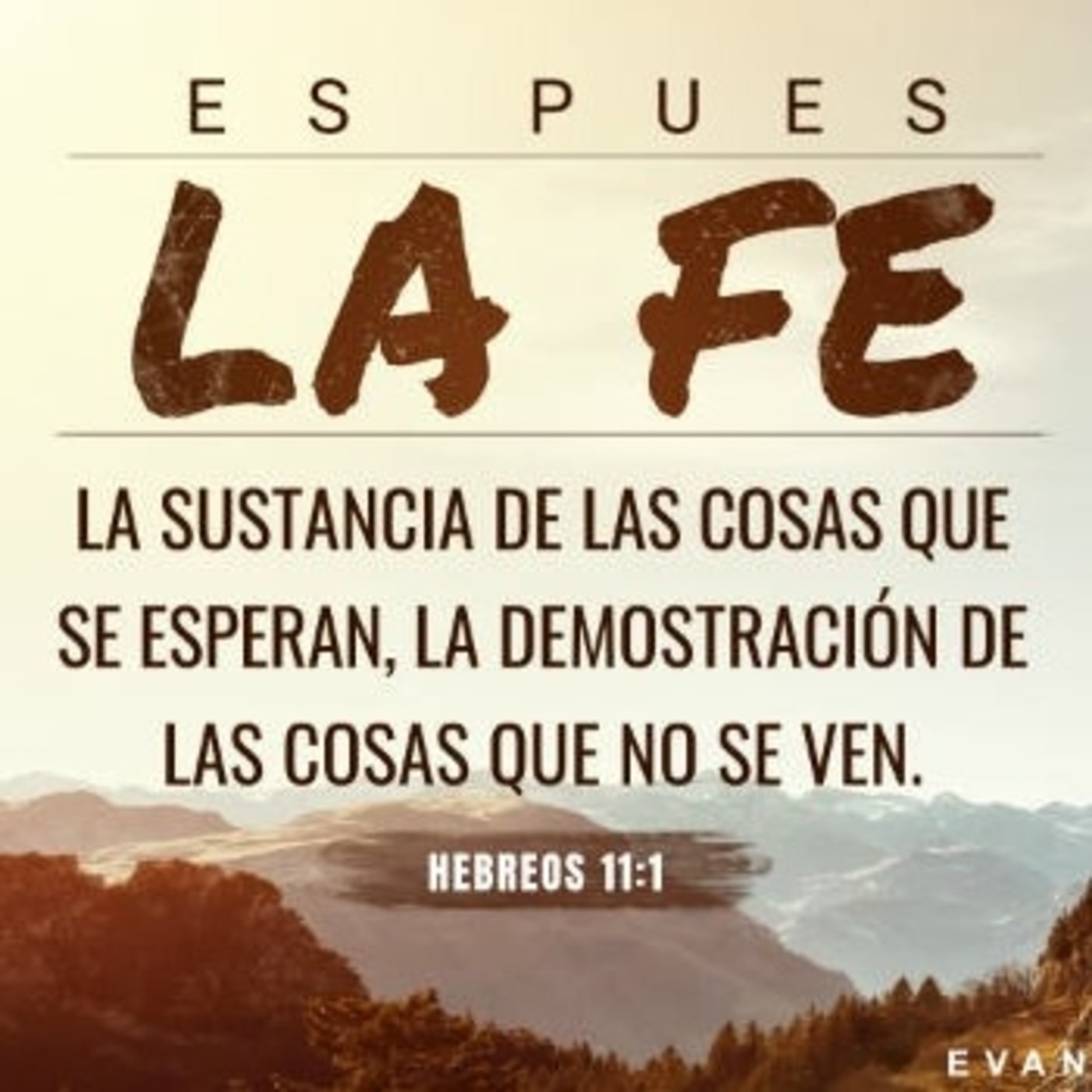 Metamorfosis Lrtv