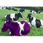 Mercadeo en Red - Vacas Purpuras - Carlos Eduardo Castellanos y Claudia Santos