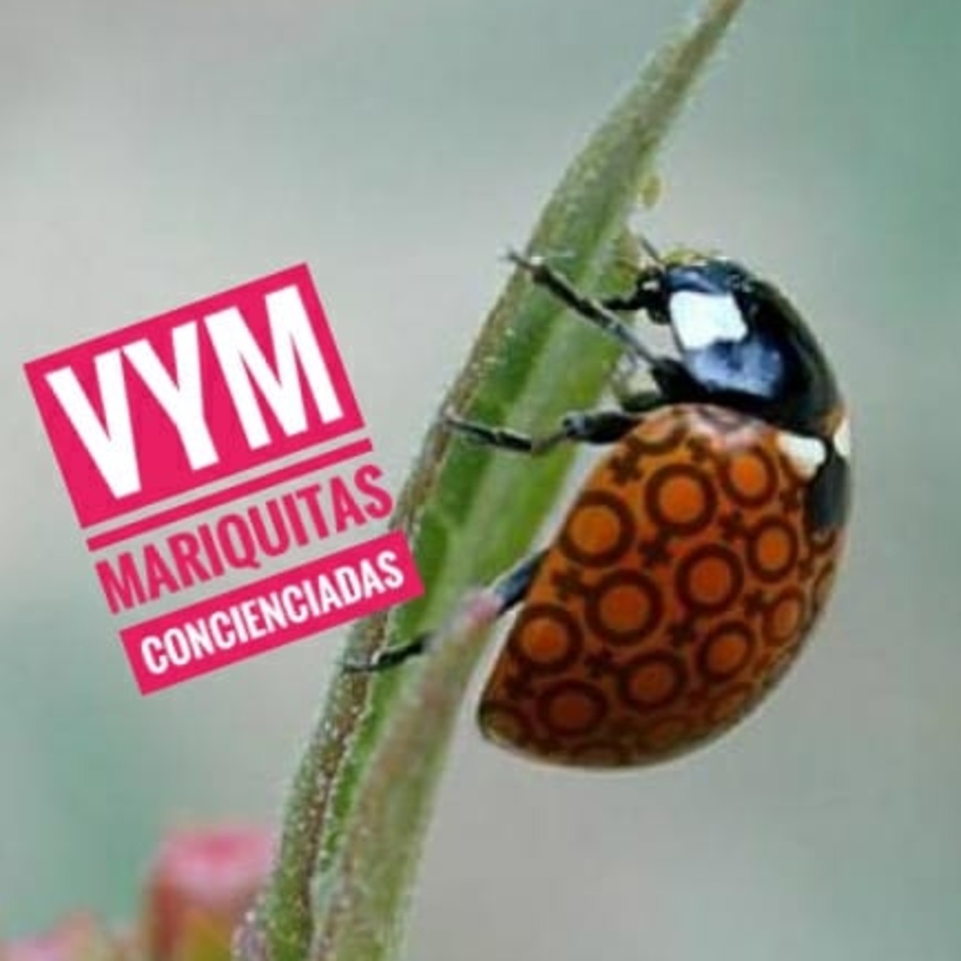 Vagos y Maleantes, el Podcast