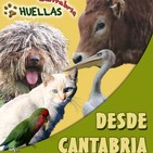 Huellas Cantabria entrevista a Pedro Pozas de proyecto Gran Simio