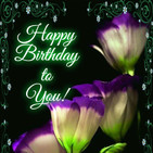 Happy birthday to you