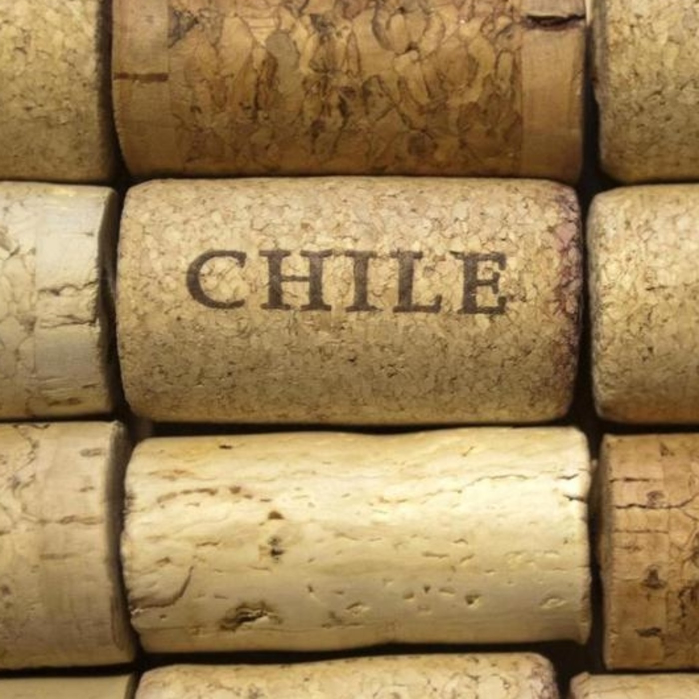 VINO PARA CAMALEONES