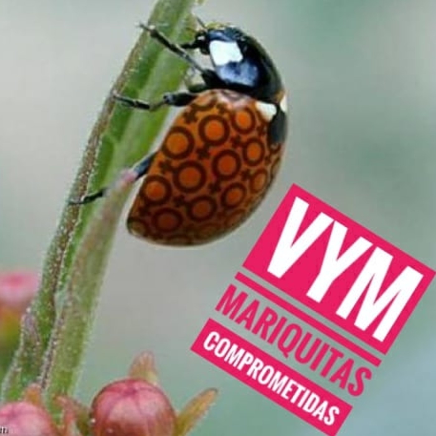 Vagos y Maleantes, el Podcast