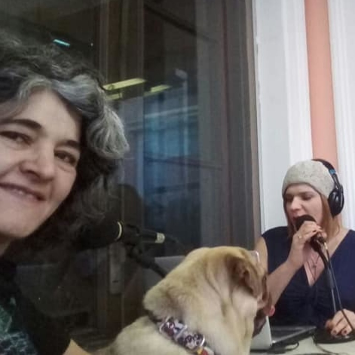 Radio Eterogenia