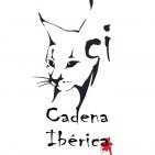 Canal de Cadena Ibérica