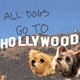 Show Dogs