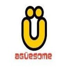Aguesome