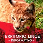 Territorio lince 2º parte 24-02-2016