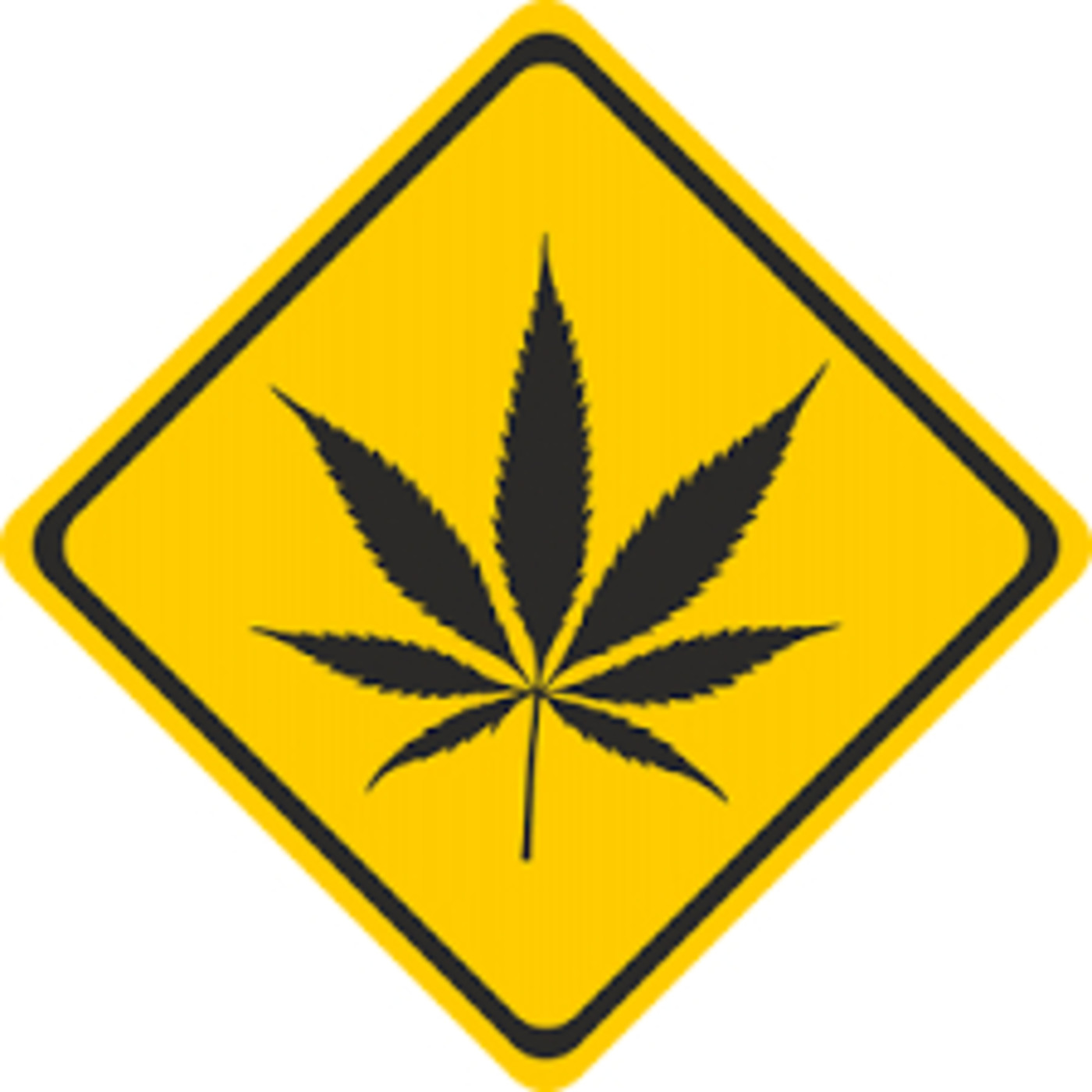 Radio Tv MARIHUANA NOW SHOW CANNABIS