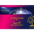Entrevista a Rodrigo Salas Zuleta de AMAWA