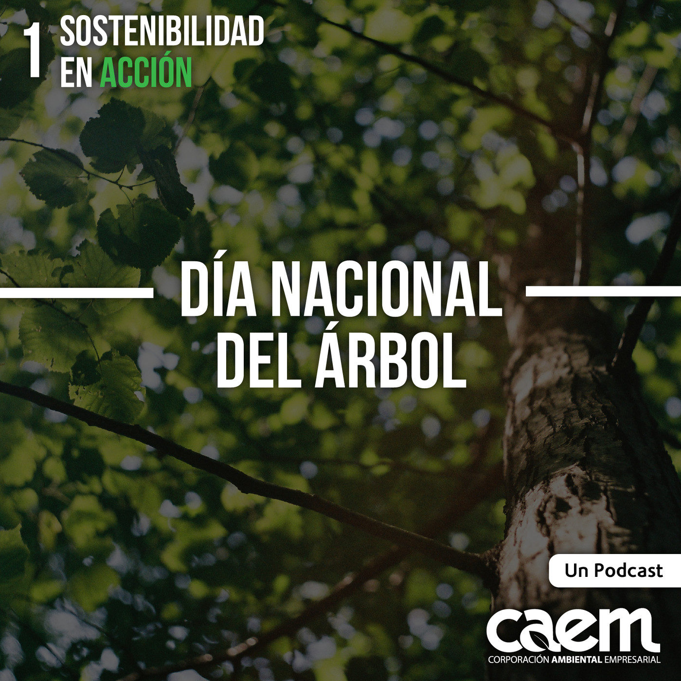 Sostenibilidad en Acción - CAEM