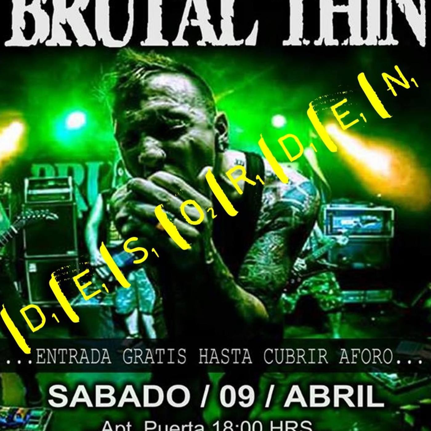DESORDEN Entrevista Brutal Thin episode artwork