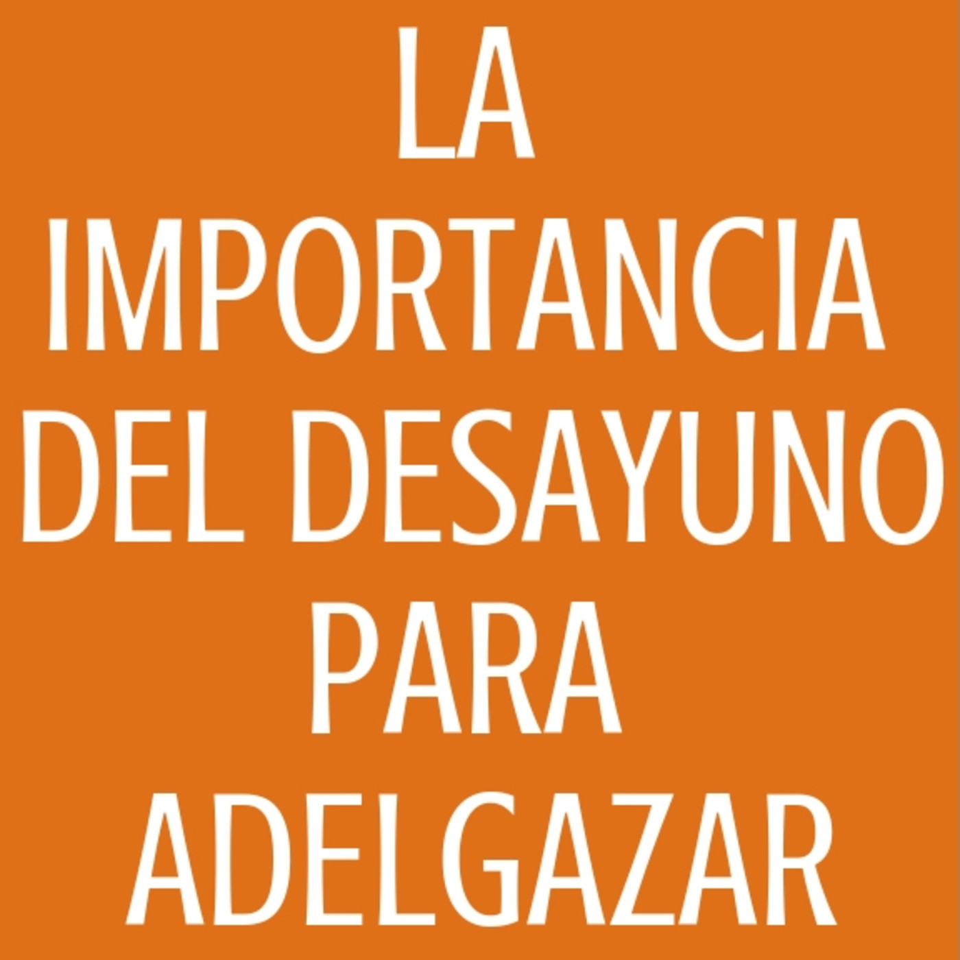 Mis dietas para adelgazar
