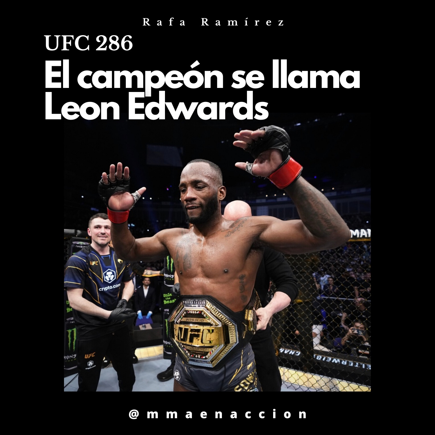 MMA en acción