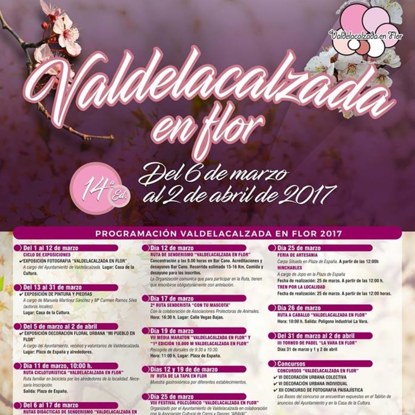 Subido 100317 Valdelacalzada en flor episode artwork