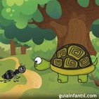348. Uga, la tortuga.