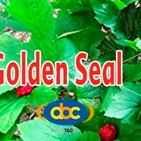 El Ángel de tu Salud - GOLDEN SEAL
