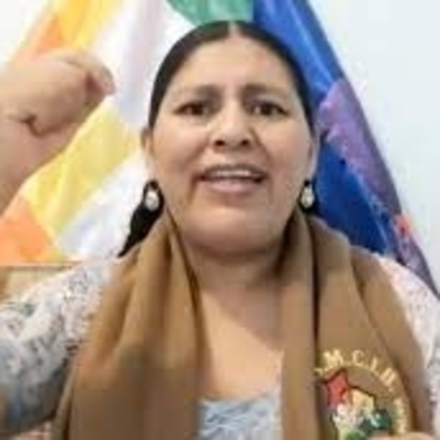 Concejo Nacional e Internacional  Comunicacion Int