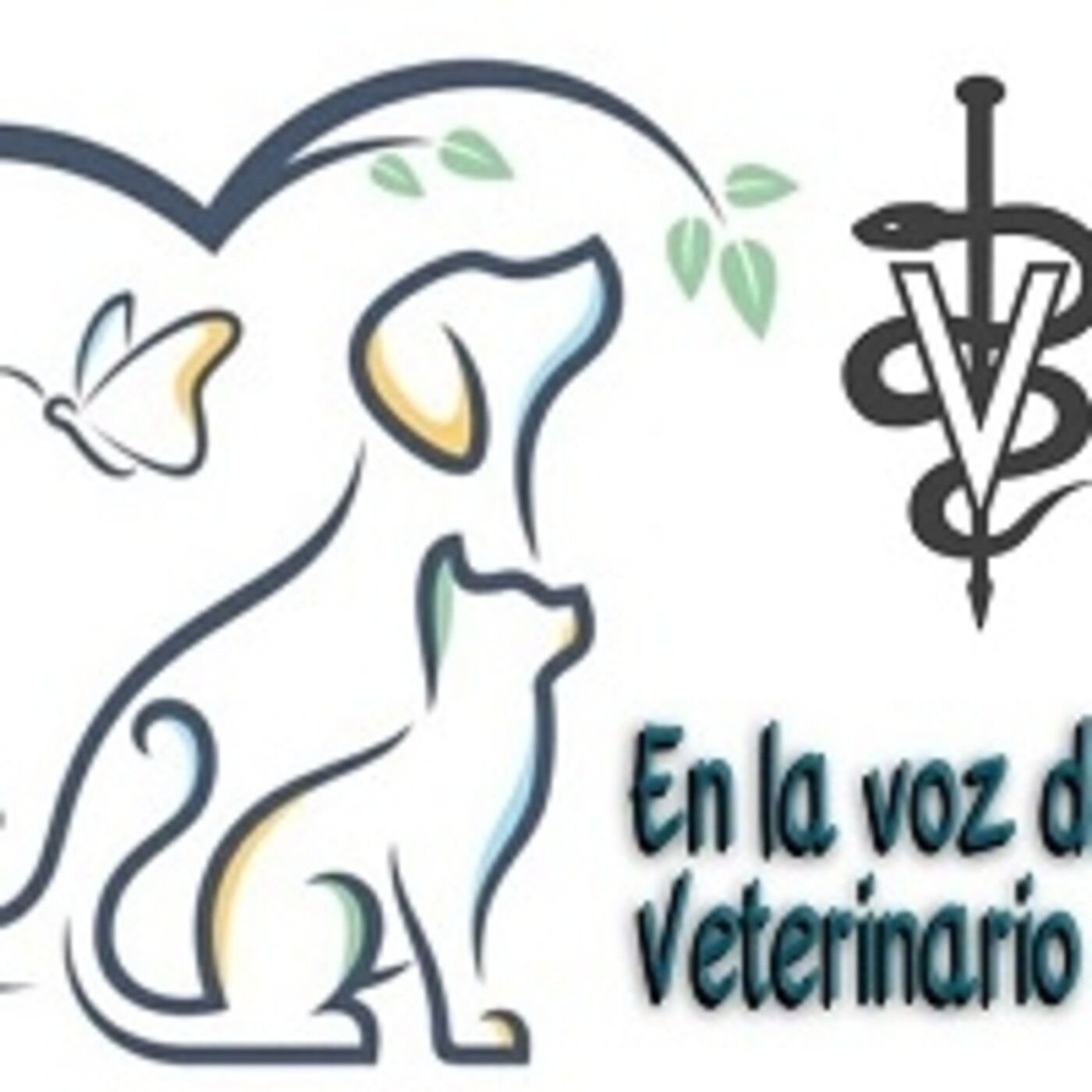 En la Voz del Veterinario 090321 p128 episode artwork