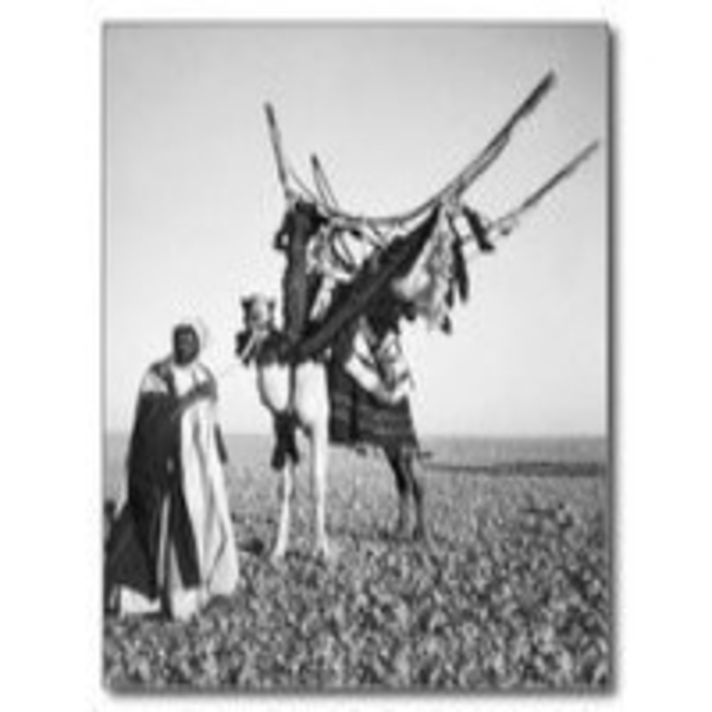 LA HOGUERA en Getafe Voz Radio