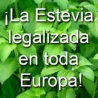 ¡La venta de Estevia en hoja seca legalizada en toda Europa! (con Josep Pàmies)
