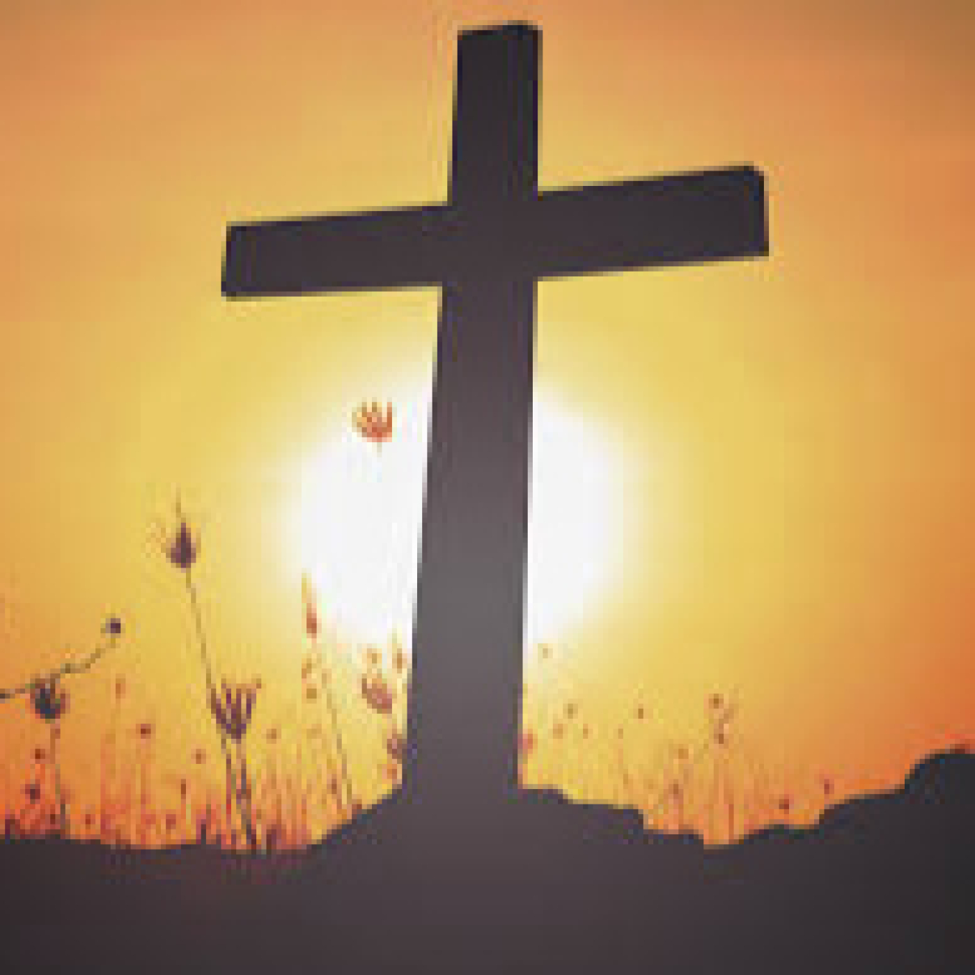 »Un Dios que sale al encuentro»