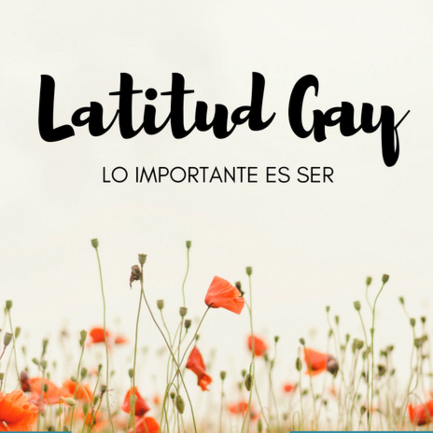 LATITUD GAY 2017/2018