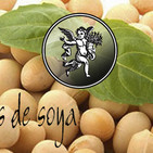 El Ángel de tu Salud - ISOFLAVONAS DE SOYA II