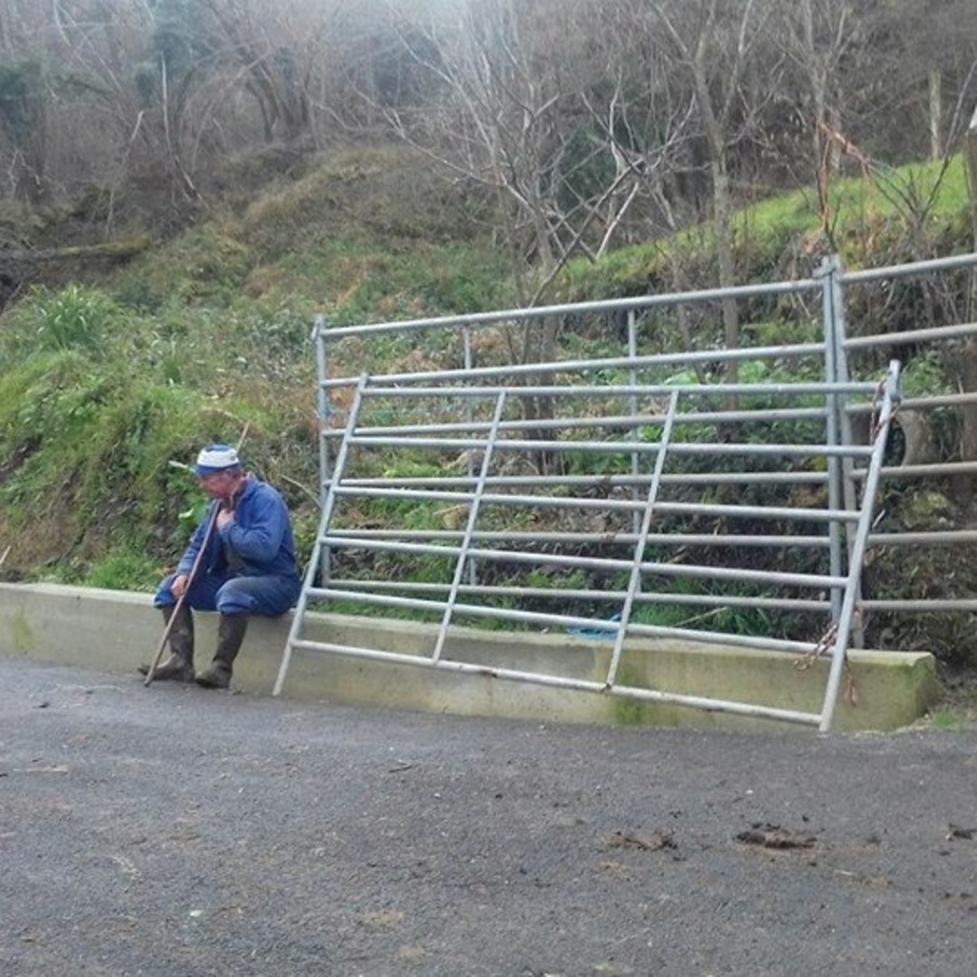 Ahora Cantabria