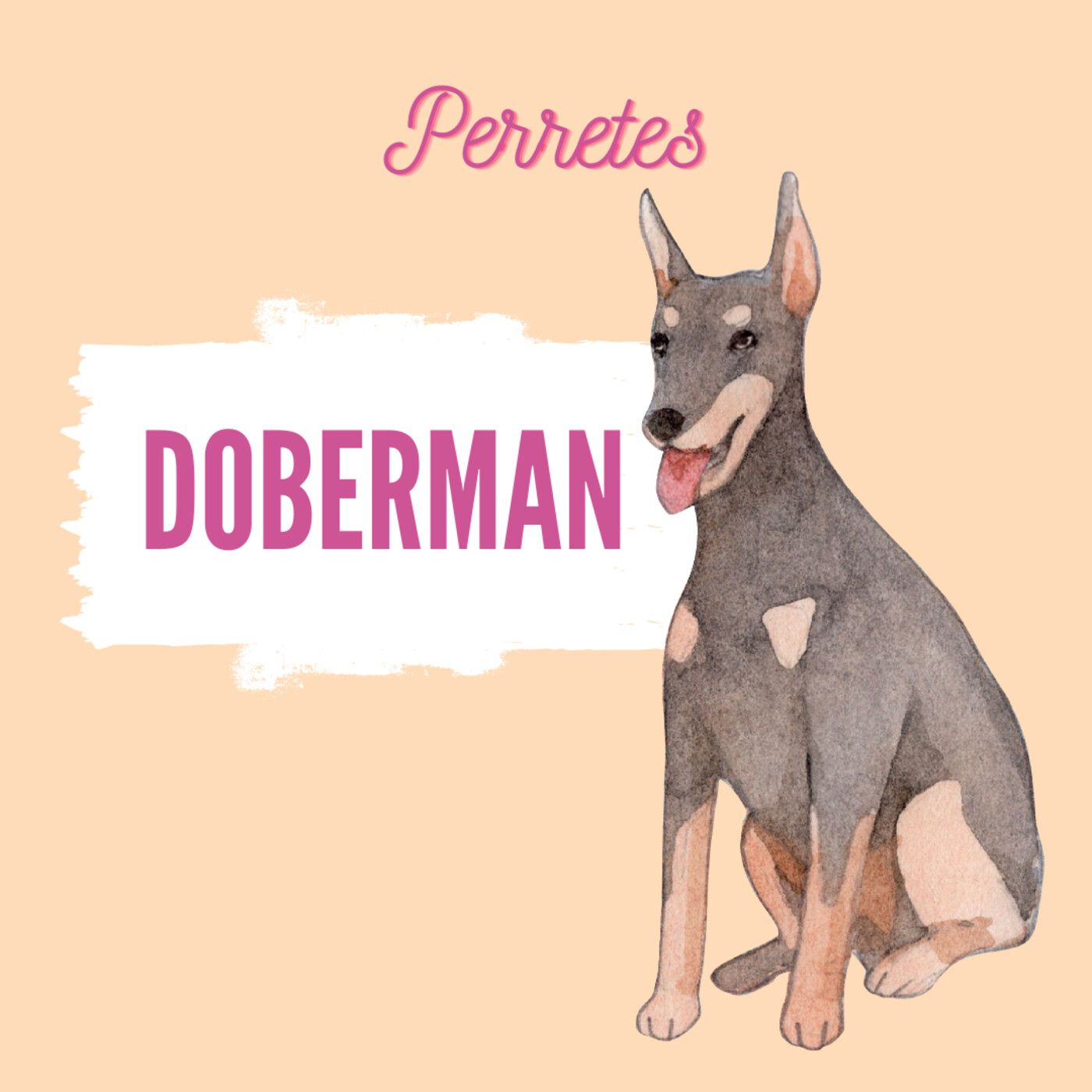 Perretes | Las razas de perros