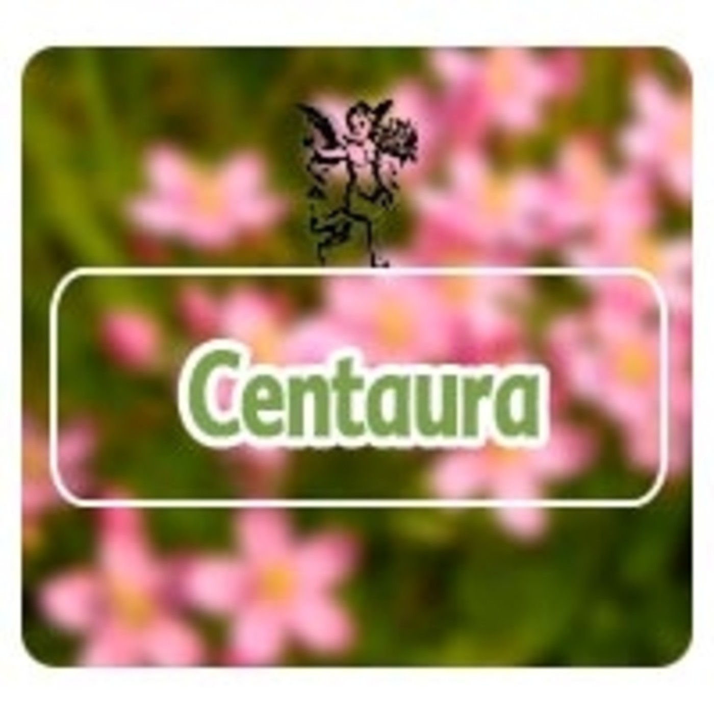 El Angel de tu Salud - CENTAURA*