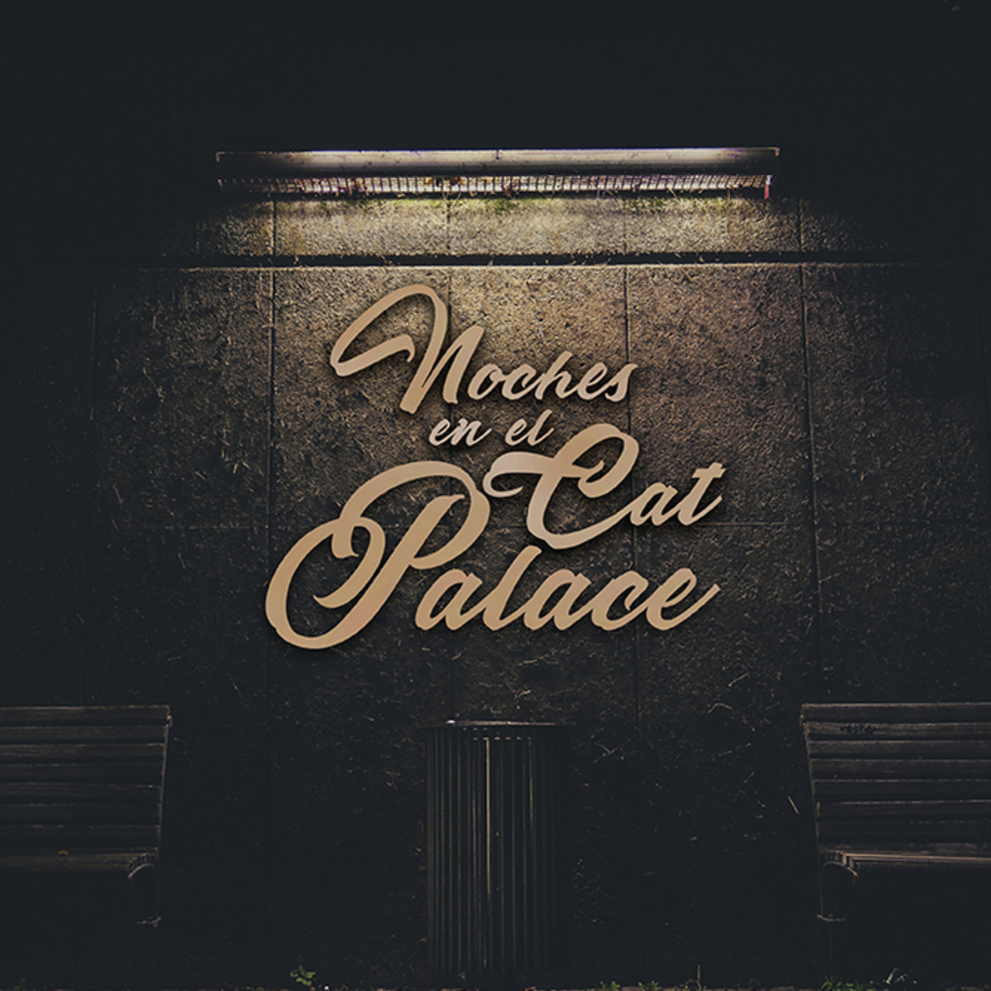 Noches en el Cat Palace