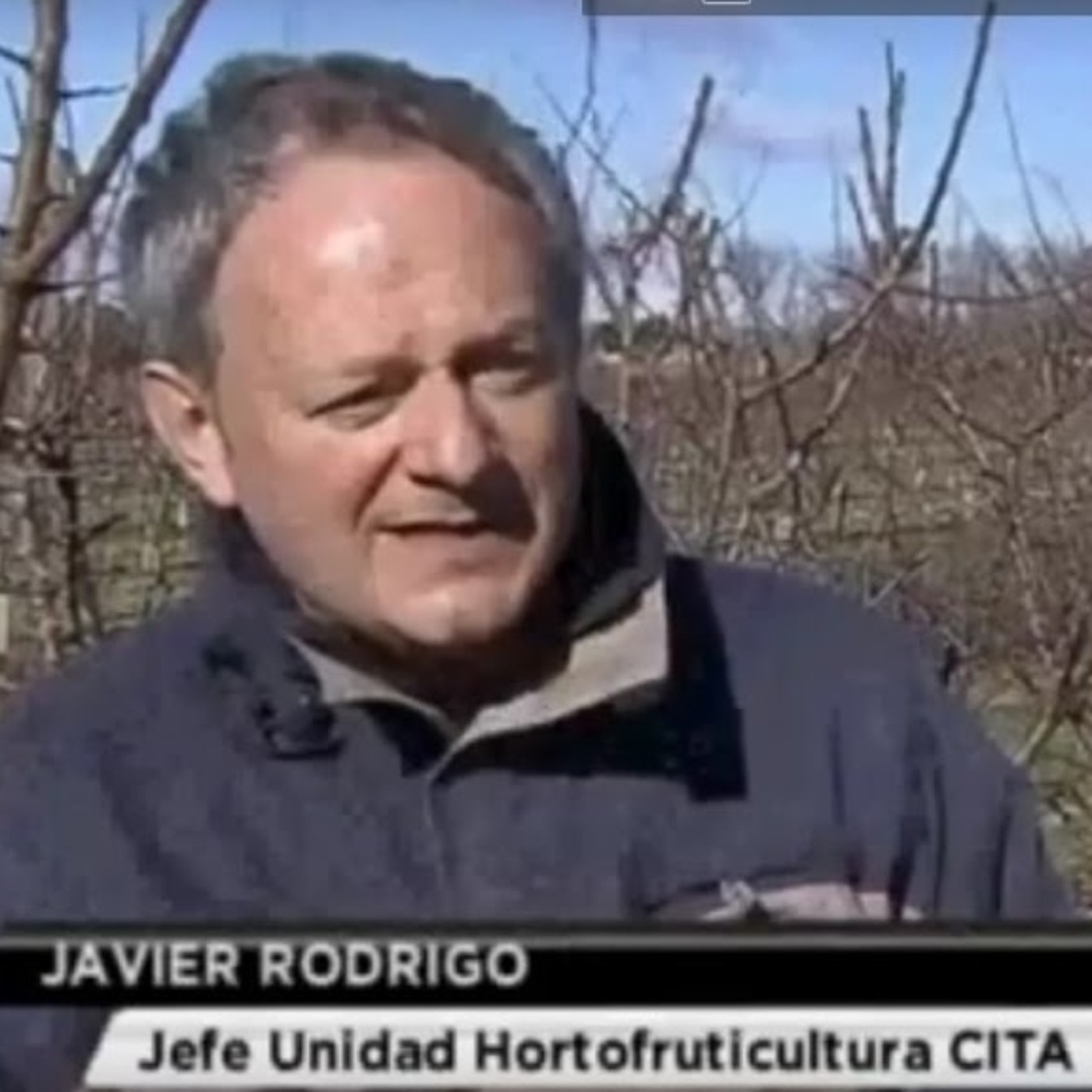 CITA de Aragón: Apariciones en radio