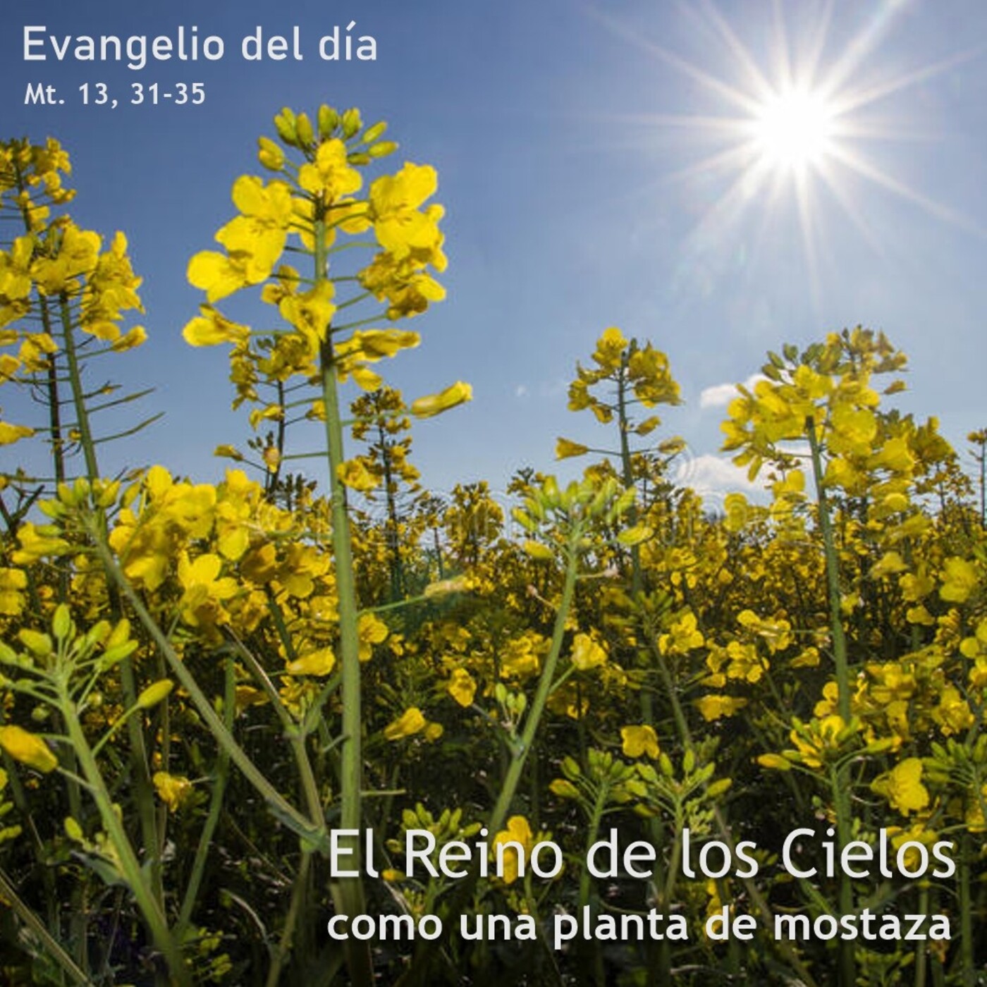 27 de julio de 2020