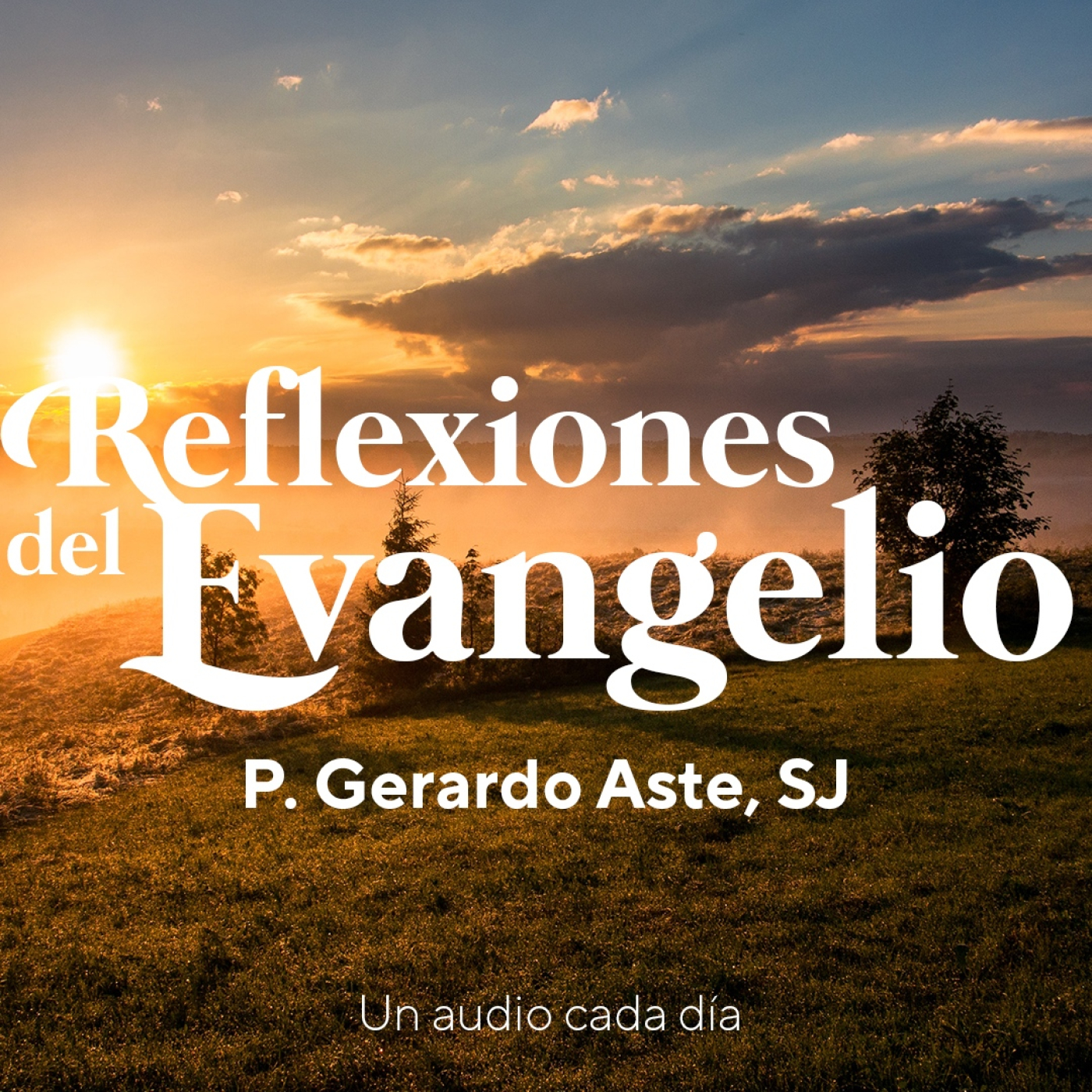 Reflexiones del Evangelio - P. Gerardo Aste SJ