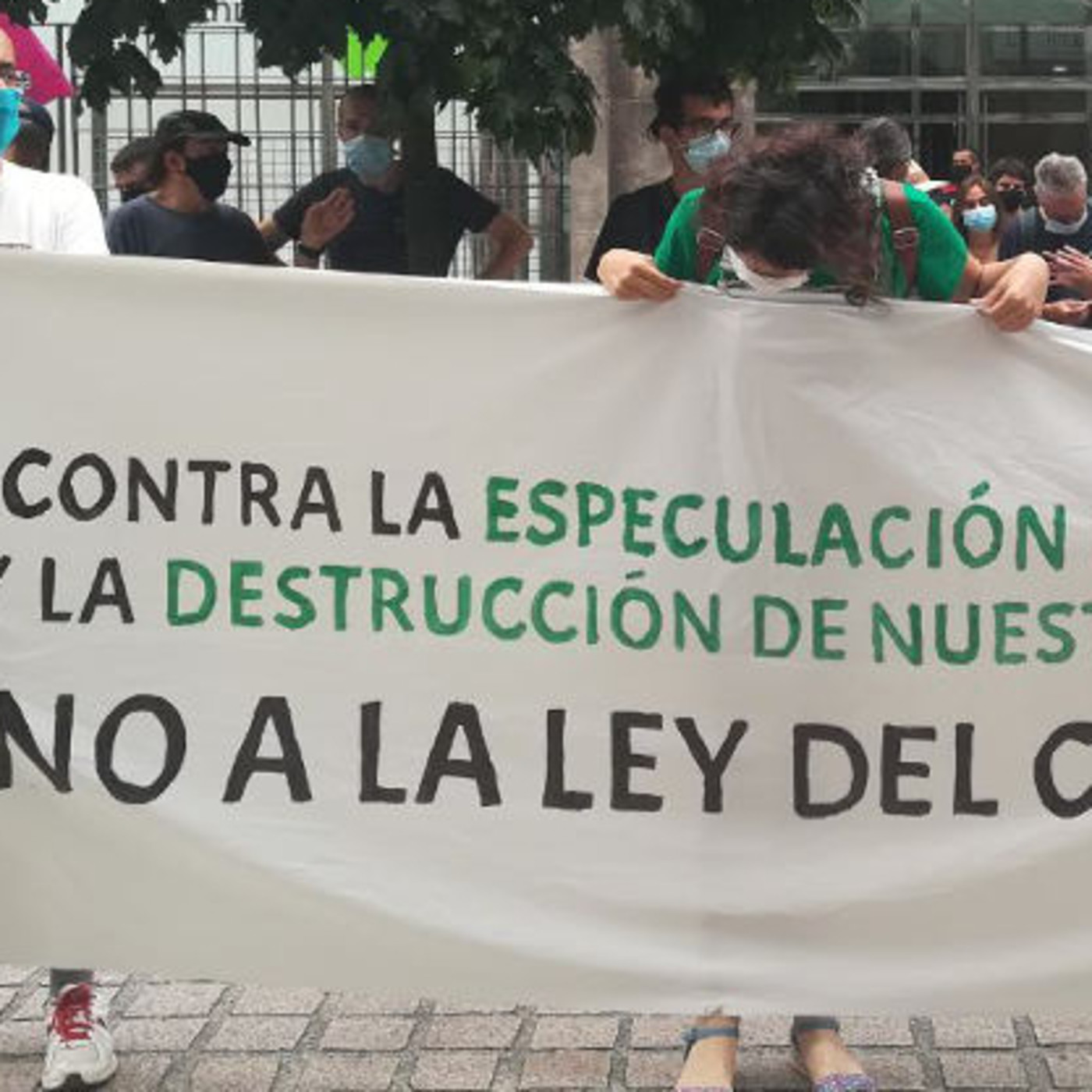El Pájaro Observador