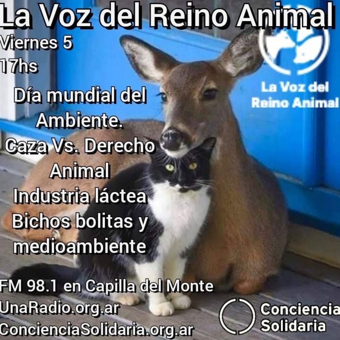 #LaVozDelReinoAnimal 05.06.2020 episode artwork