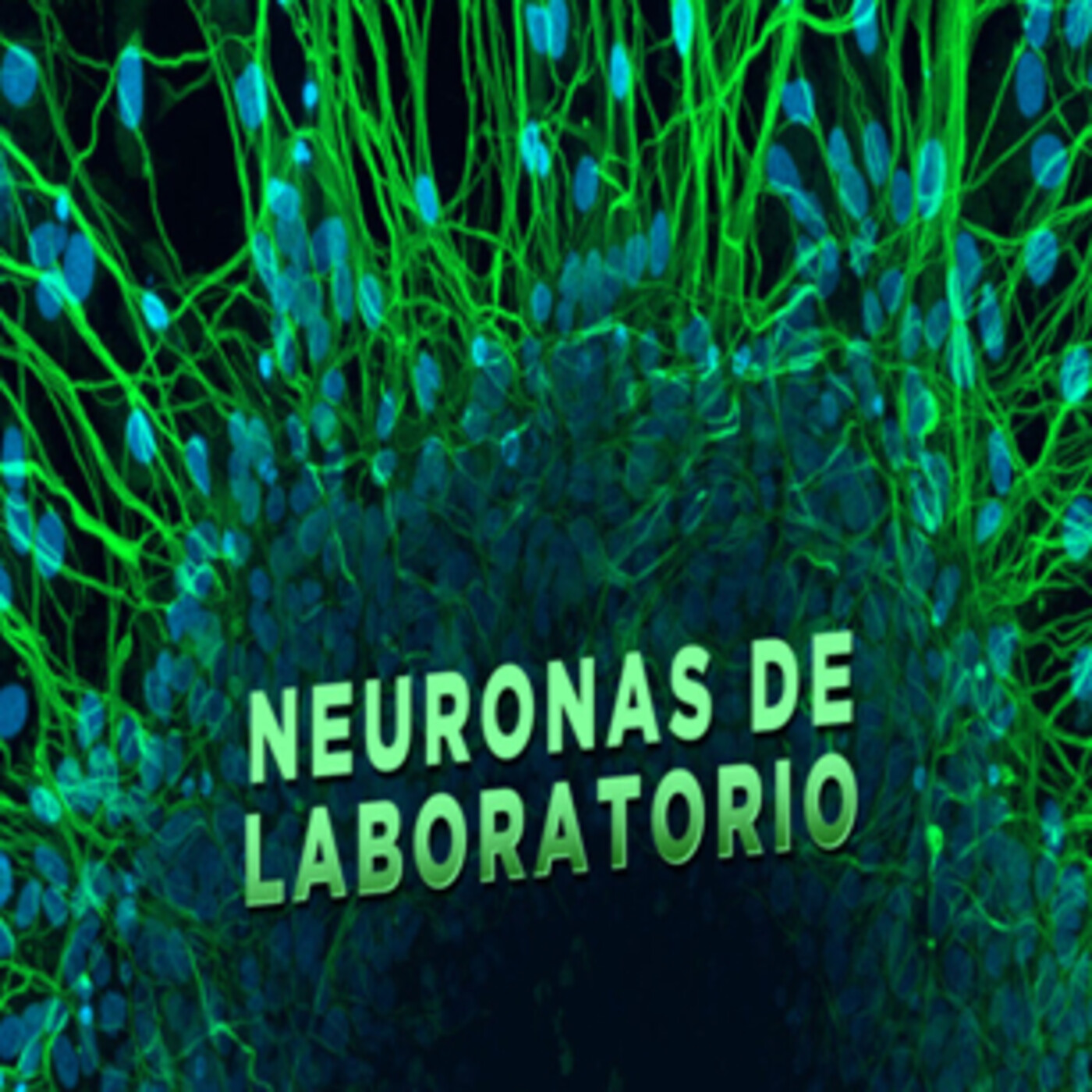 Cuarto milenio: Neuronas y cerebro humano