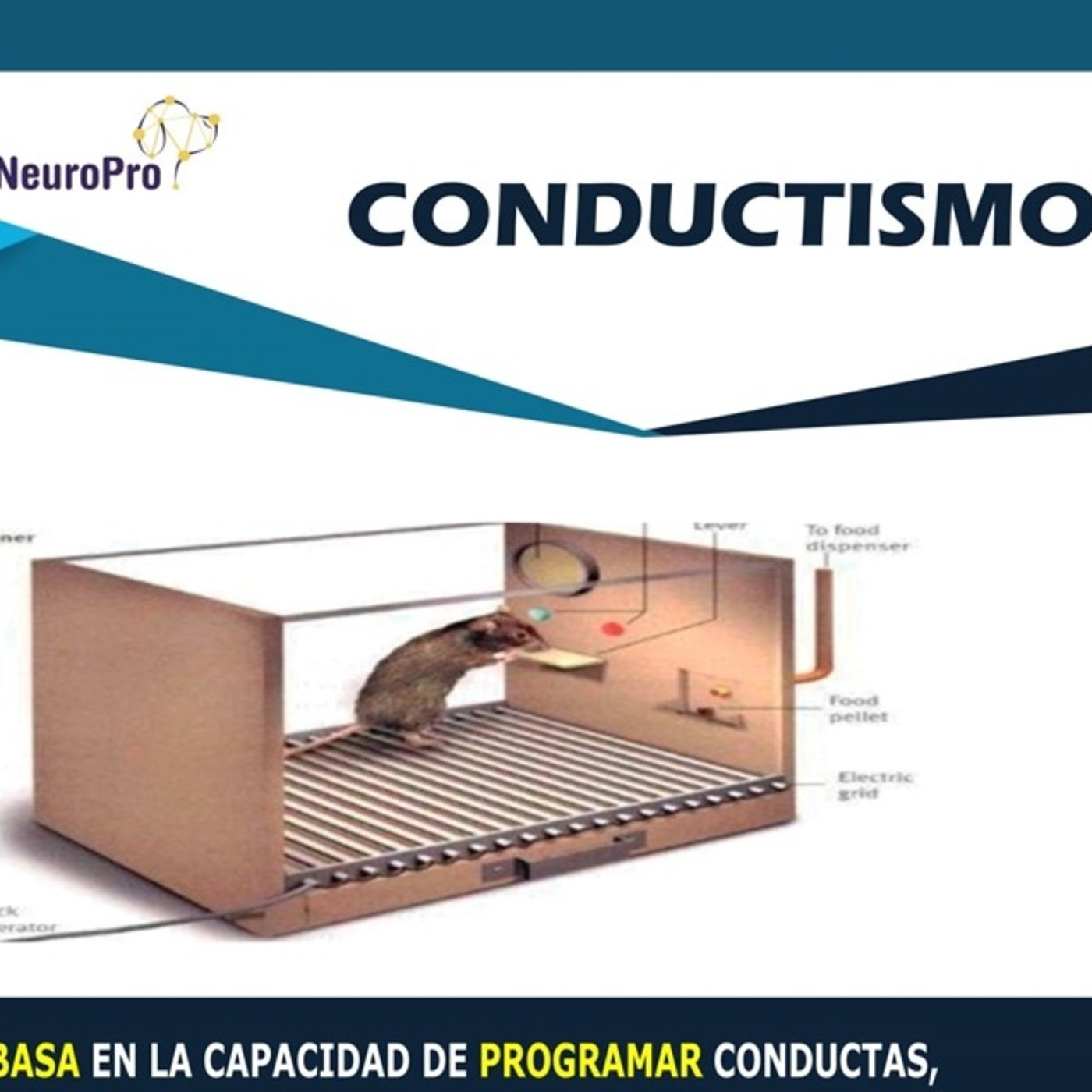 NeuroPro \